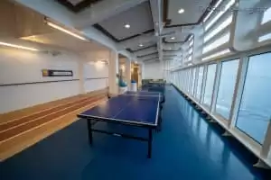 Tables de ping-pong