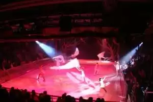 Spectacles au au Studio B