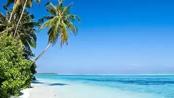 Caribbean