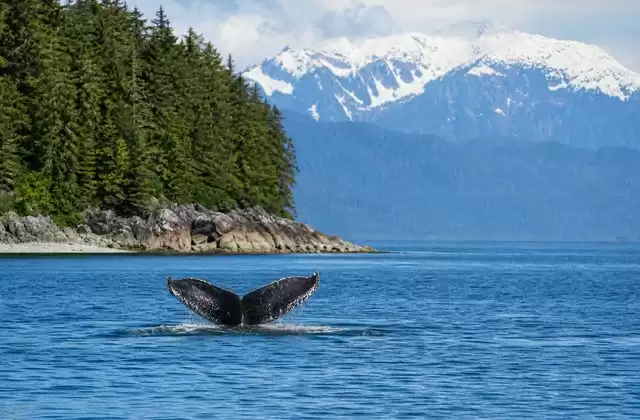 At Icy Strait Point