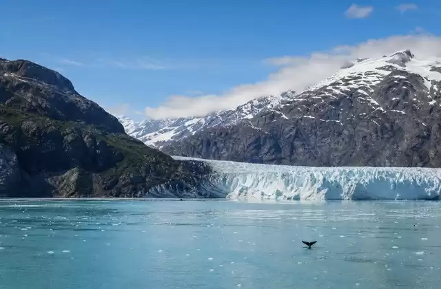 At Glacier Bay