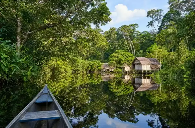 In the Amazon
