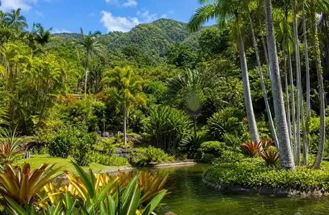 Balata Garden