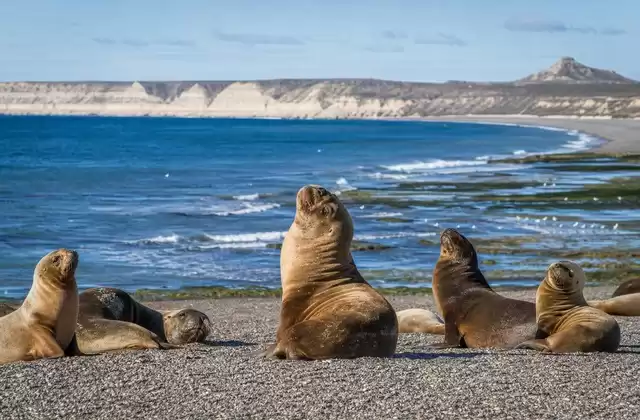 In Puerto Madryn