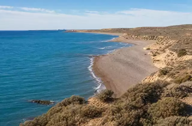 From Península Valdés