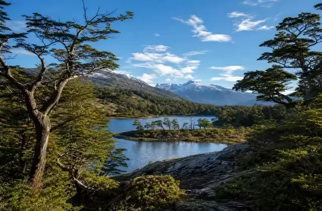 In Tierra del Fuego National Park