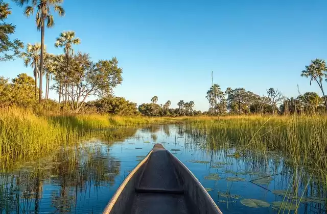 Mokoro in the Okavango