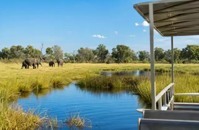 Savuti Marshes