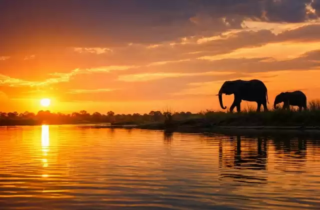 Sunset on the Chobe