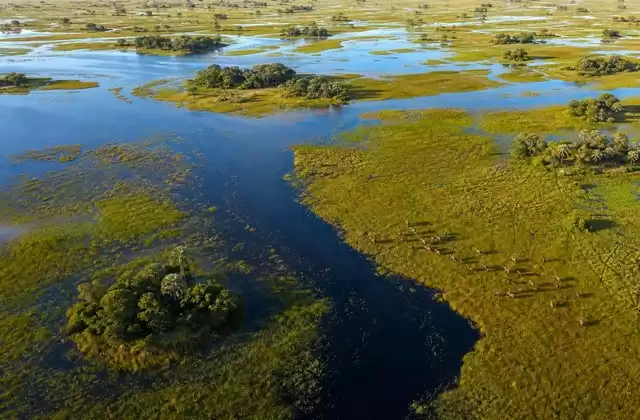 Flight over the Okavango