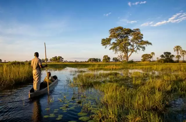Okavango Delta