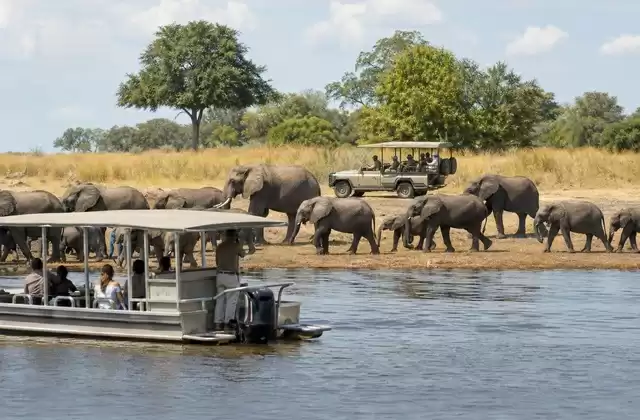 Chobe National Park