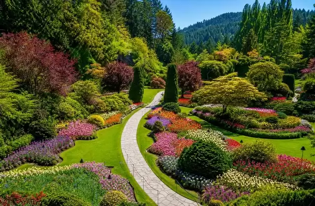 Vancouver Island