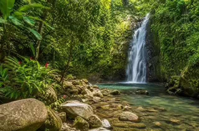 In Guadeloupe