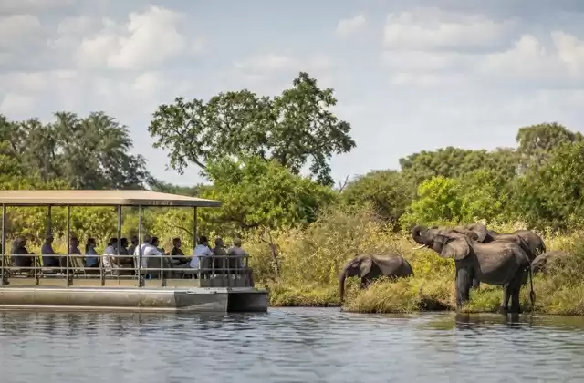 Chobe River