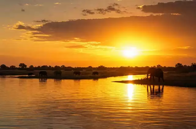 Sunset on the Chobe River