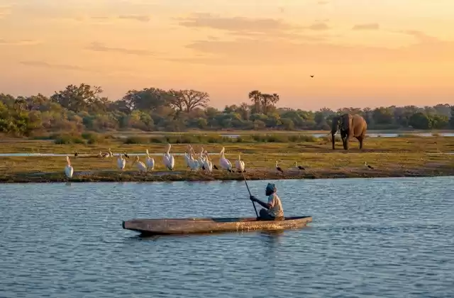 Namibian riverbanks