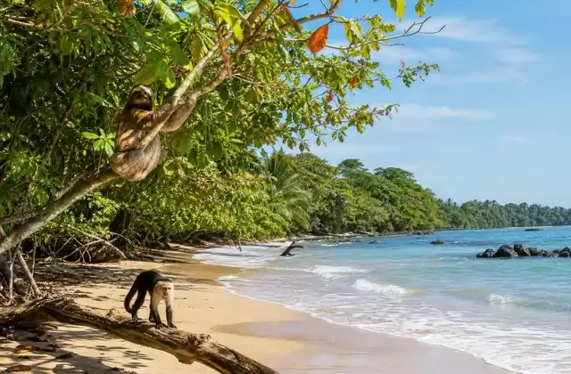 Around Cahuita