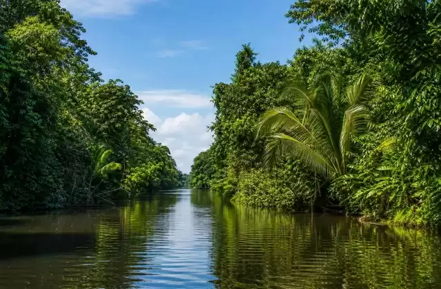 From Puerto Limón