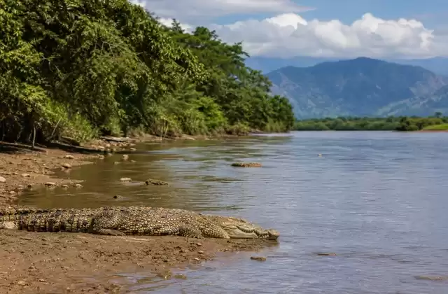From Puntarenas