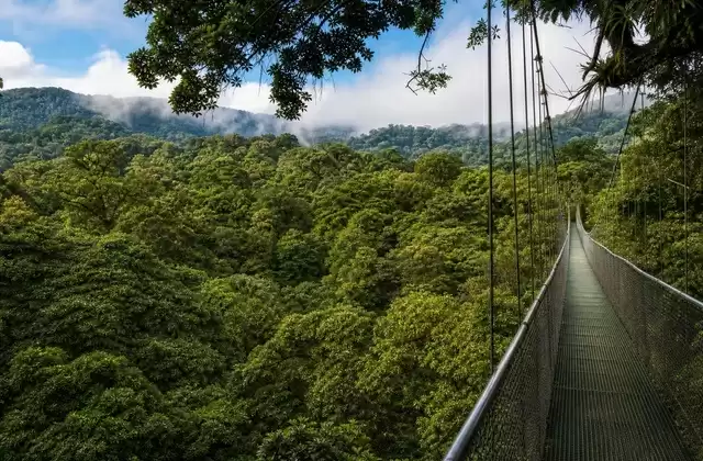 From the suspension bridges