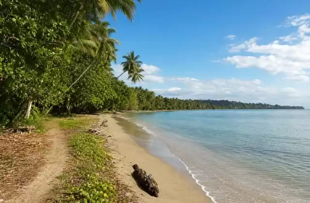 In Cahuita