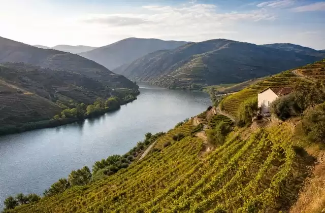 Douro Valley