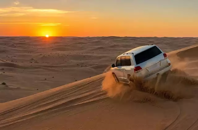 The desert (Dubai/Abu Dhabi)