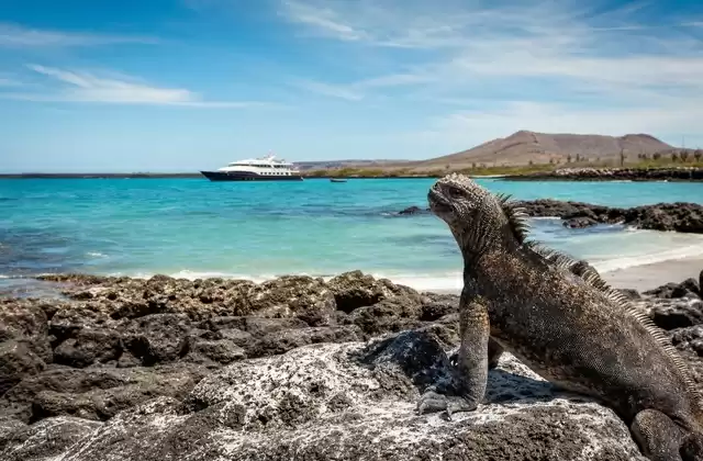 In the Galápagos