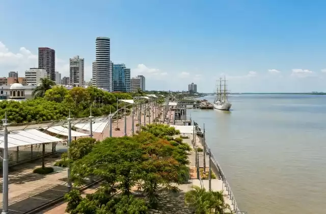 In Guayaquil
