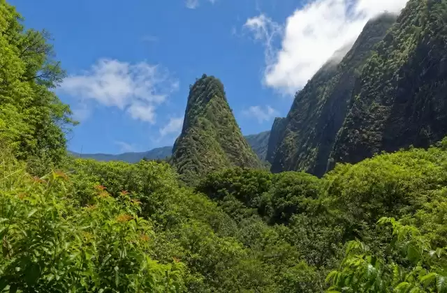 On Maui