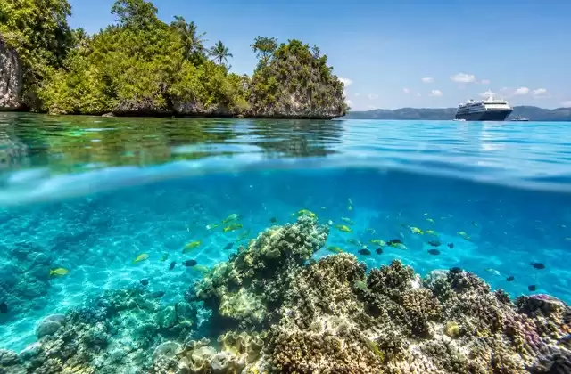 In Raja Ampat