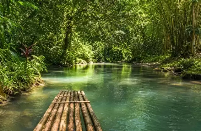 On the Martha Brae River