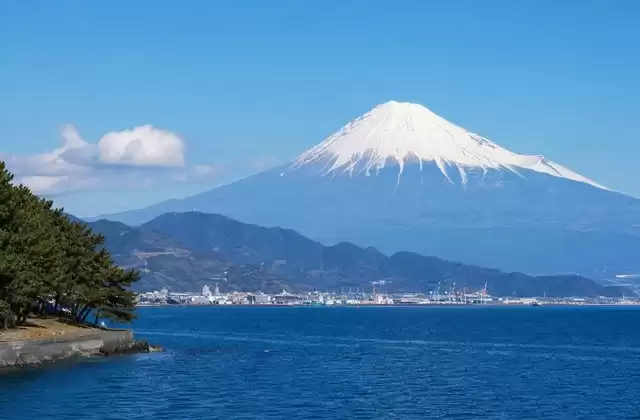 From Shimizu