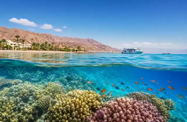 On the reefs of Aqaba