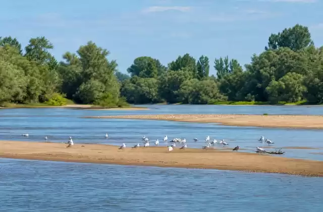 Loire islands