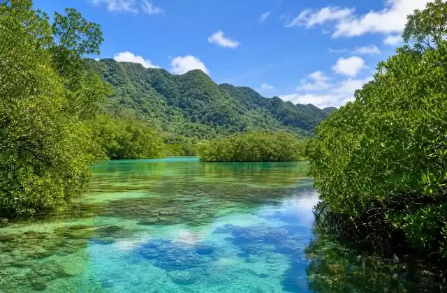 In Kosrae