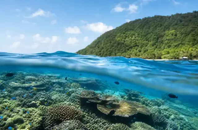 In Kosrae