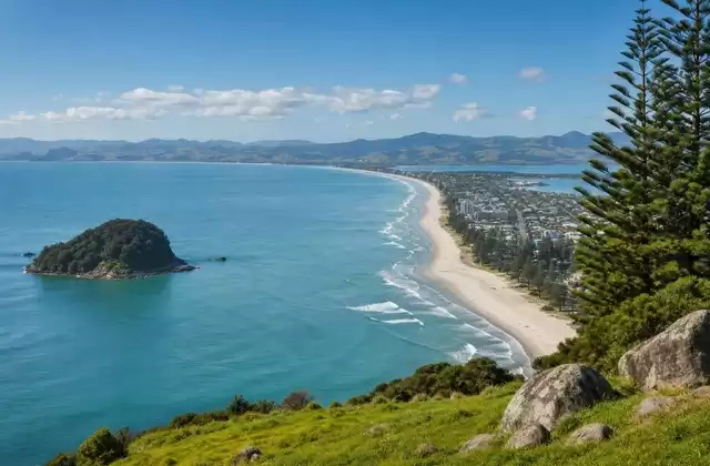 In Tauranga