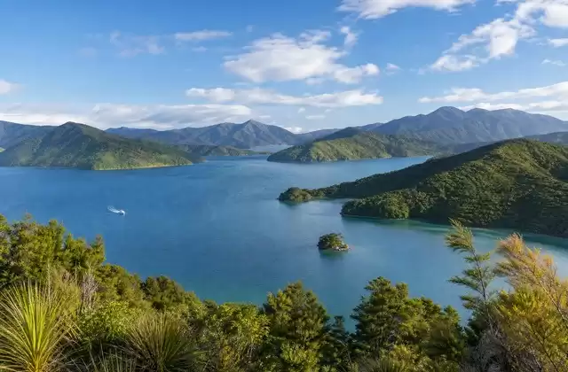 In the Marlborough Sounds