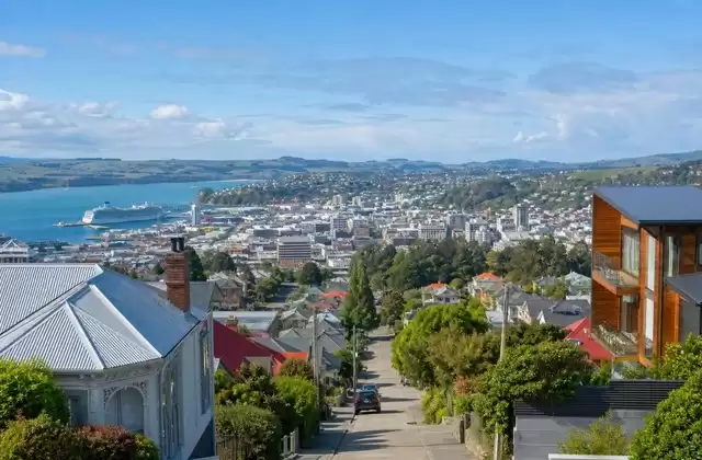 In Dunedin