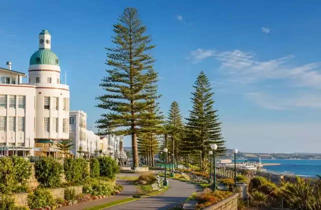 In Napier