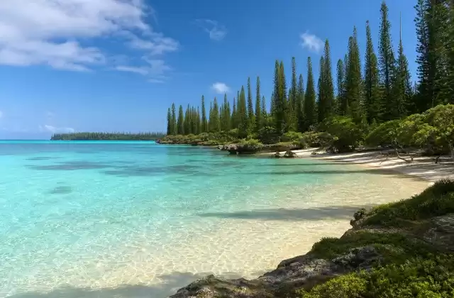 Isle of Pines