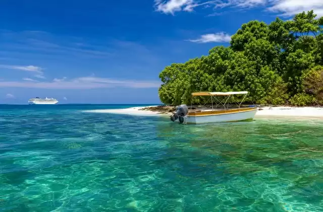 On Pig Island