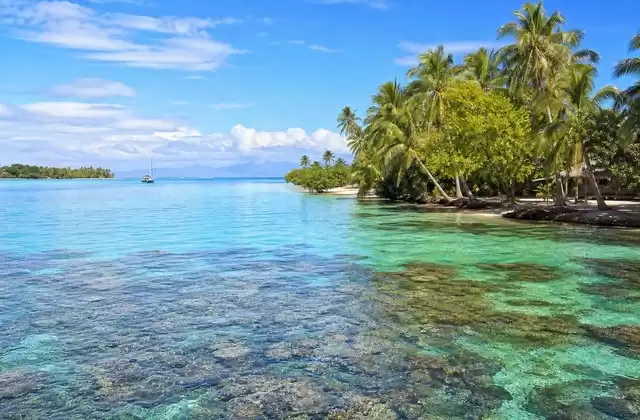 In the Louisiade Archipelago