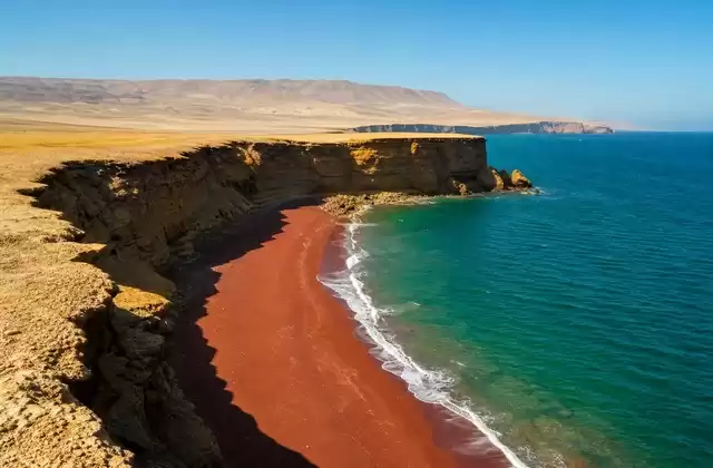 In the Paracas Reserve