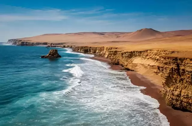 In the Paracas Reserve