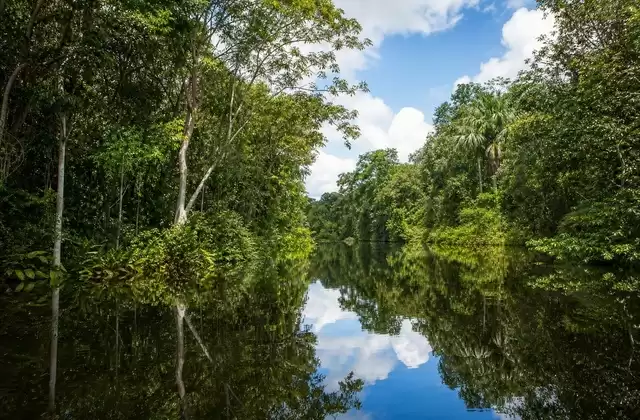 In the Peruvian Amazon