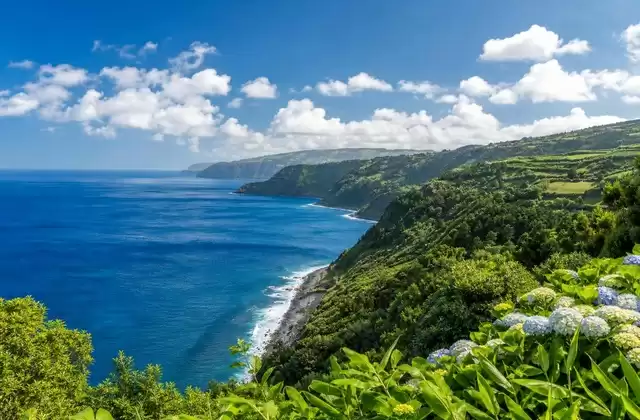 In the Azores