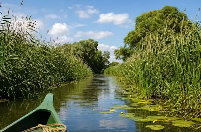 In the Danube Delta